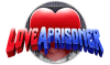 LoveAPrisoner Logo-300x